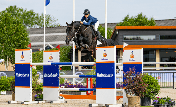 Amerikaanse wint in Lichtenvoorde