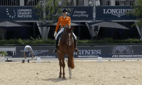 Nederland wint in Rotterdam