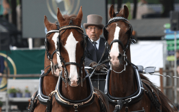 Dinsdag finale Rondje Drenthe in Norg