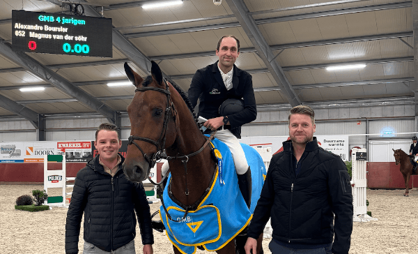VDL-hengst Magnus van der Söhr met afstand de beste bij 4 jarige