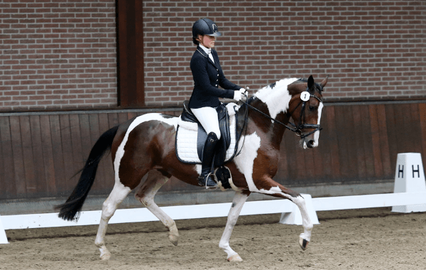 Hoogste score voor Rainbow Marin SB