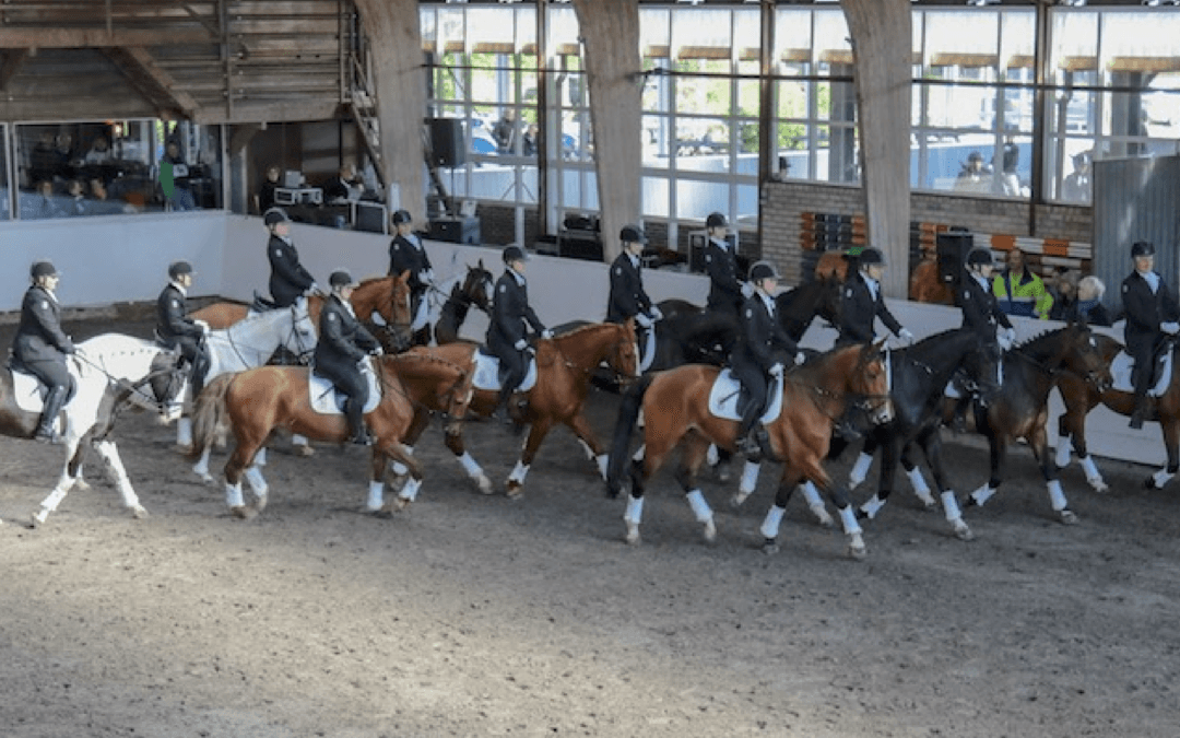 Paardensport is ook een teamsport