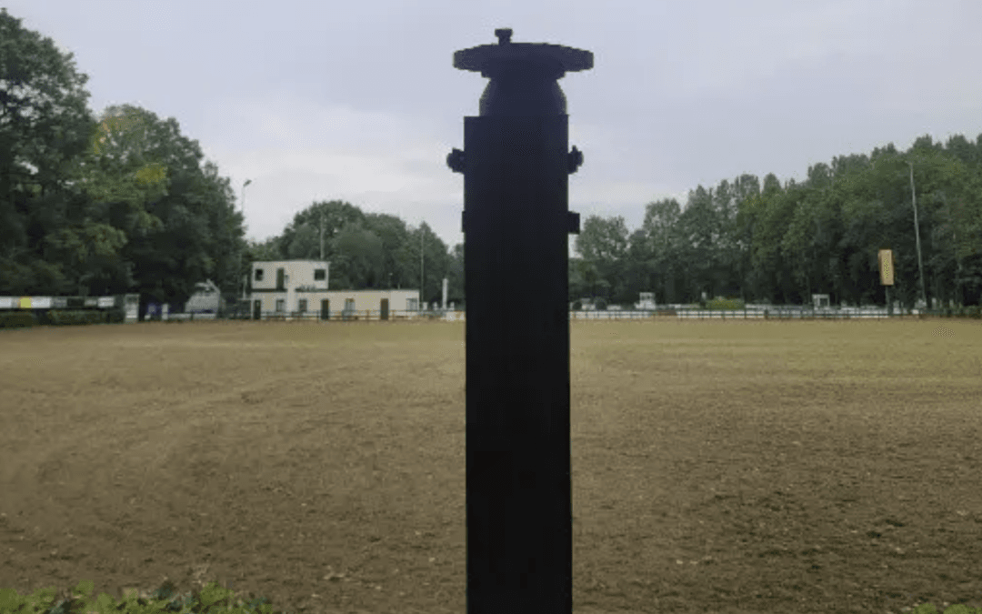 Almelose Ruiterdagen gedupeerd door diefstal