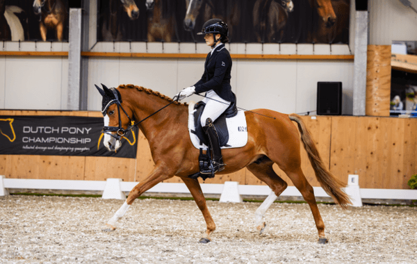 Hidaya SVR, Never Say Never WNE en Spoorzicht’s Jersey kampioen in DPC-finale Barneveld